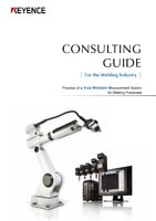 CONSULTING GUIDE: For the Welding Industry